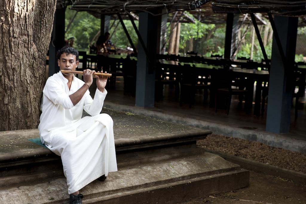 Hotel Sigiriya Ngoại thất bức ảnh Sri Lankan musician playing the kithcheri