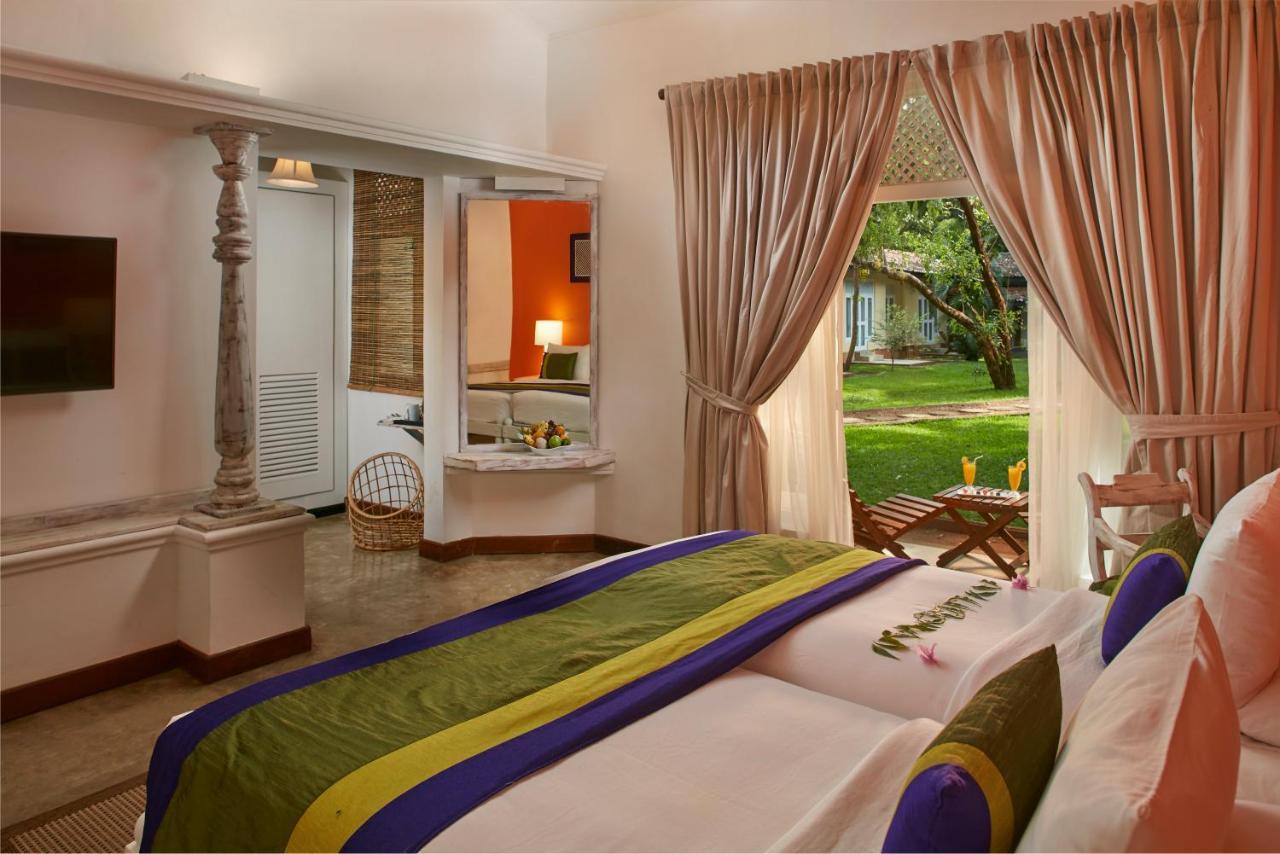 Hotel Sigiriya Ngoại thất bức ảnh A room at the hotel